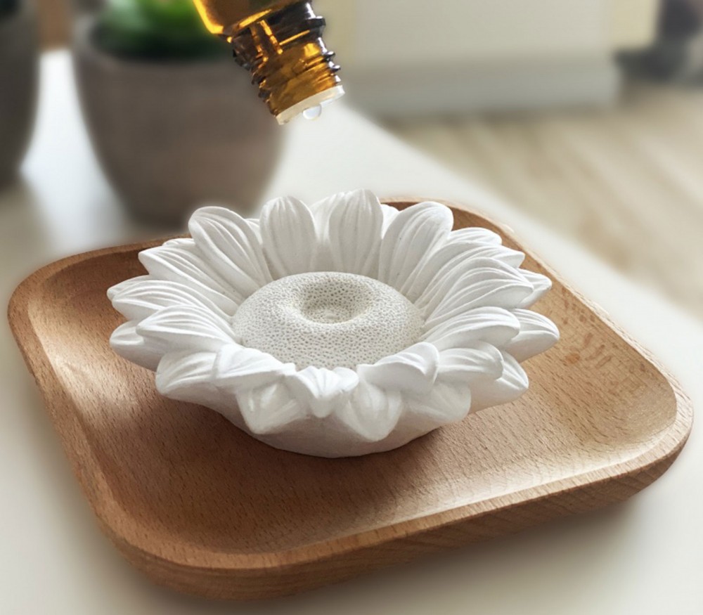 Vendita online: Fiore profumato con delicato supporto in legno Astelia Vendita online: Fiore profumato con delicato supporto in legno Astelia