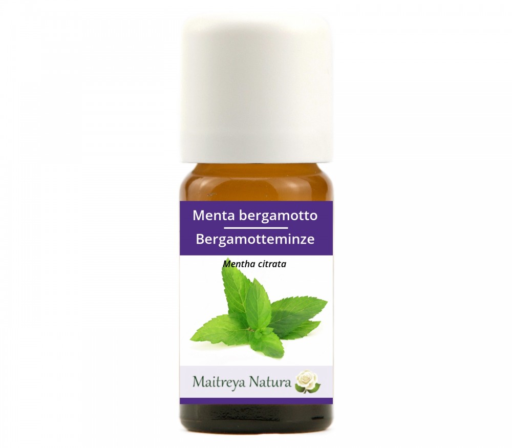 Vendita online: Menta bergamotto