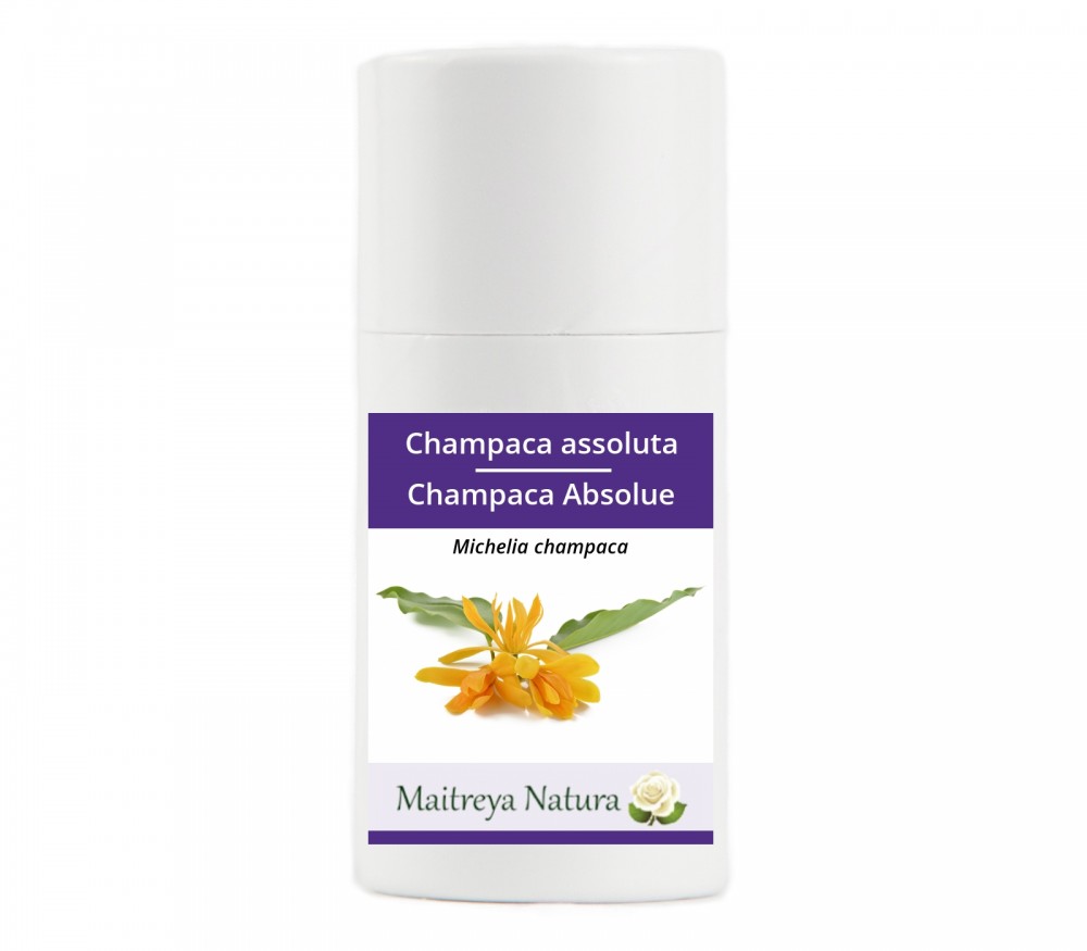 Online kaufen: Champaca Absolue Online kaufen: Champaca Absolue