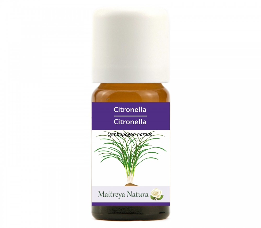 Vendita online: Citronella