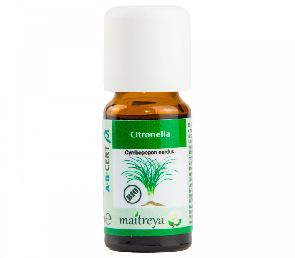 Vendita online: Citronella Vendita online: Citronella