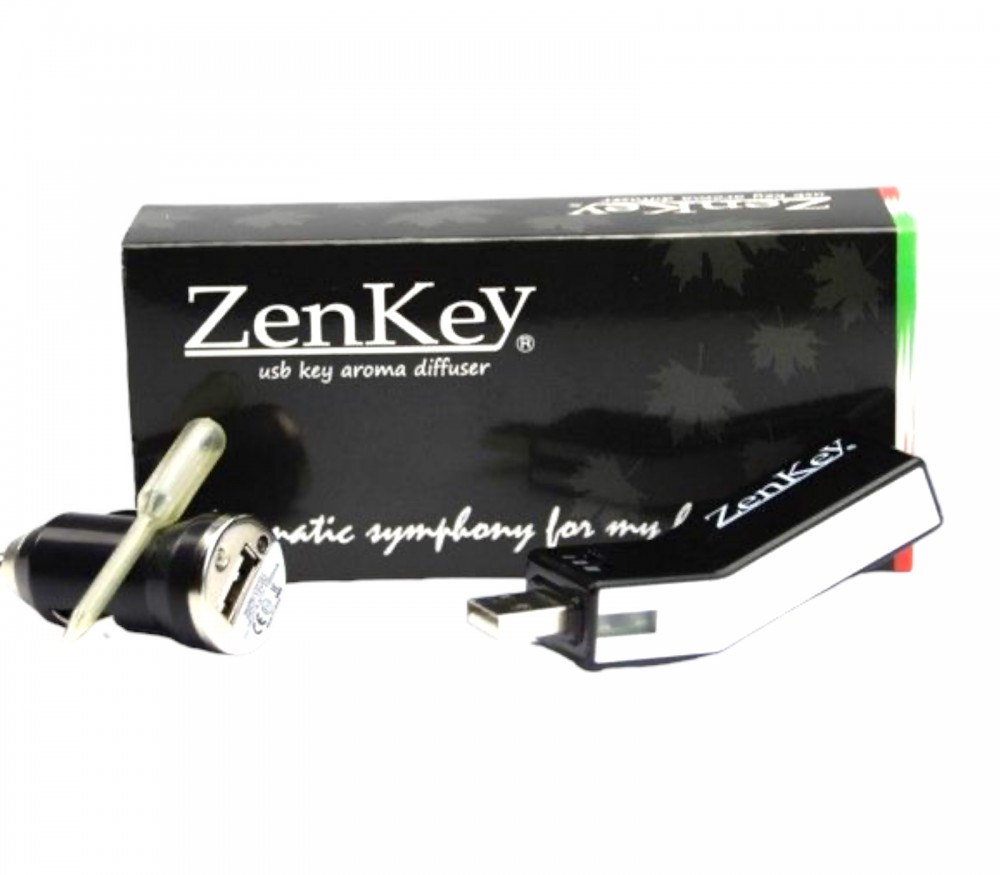 Vendita online: Diffusore per automobili - Zenkey con stick usb