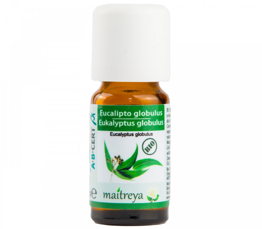 Online kaufen: Eukalyptus globulus Online kaufen: Eukalyptus globulus