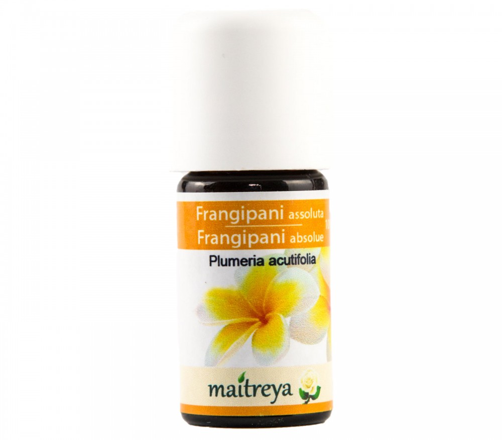 Online kaufen: Frangipani Absolue 10% Online kaufen: Frangipani Absolue 10%