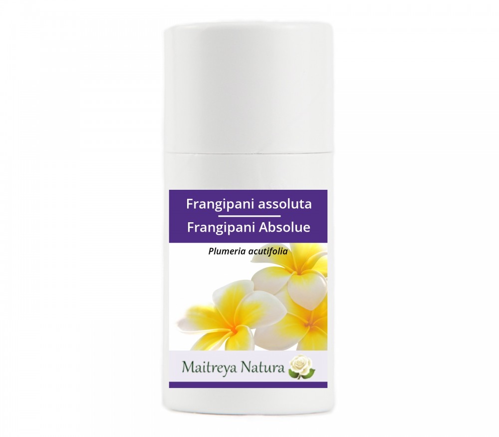 Online kaufen: Frangipani Absolue Online kaufen: Frangipani Absolue