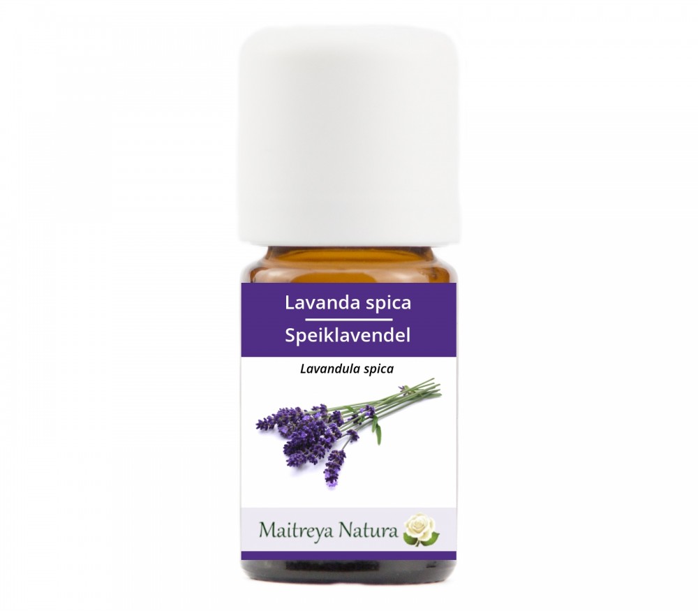 Vendita online: Lavanda spica