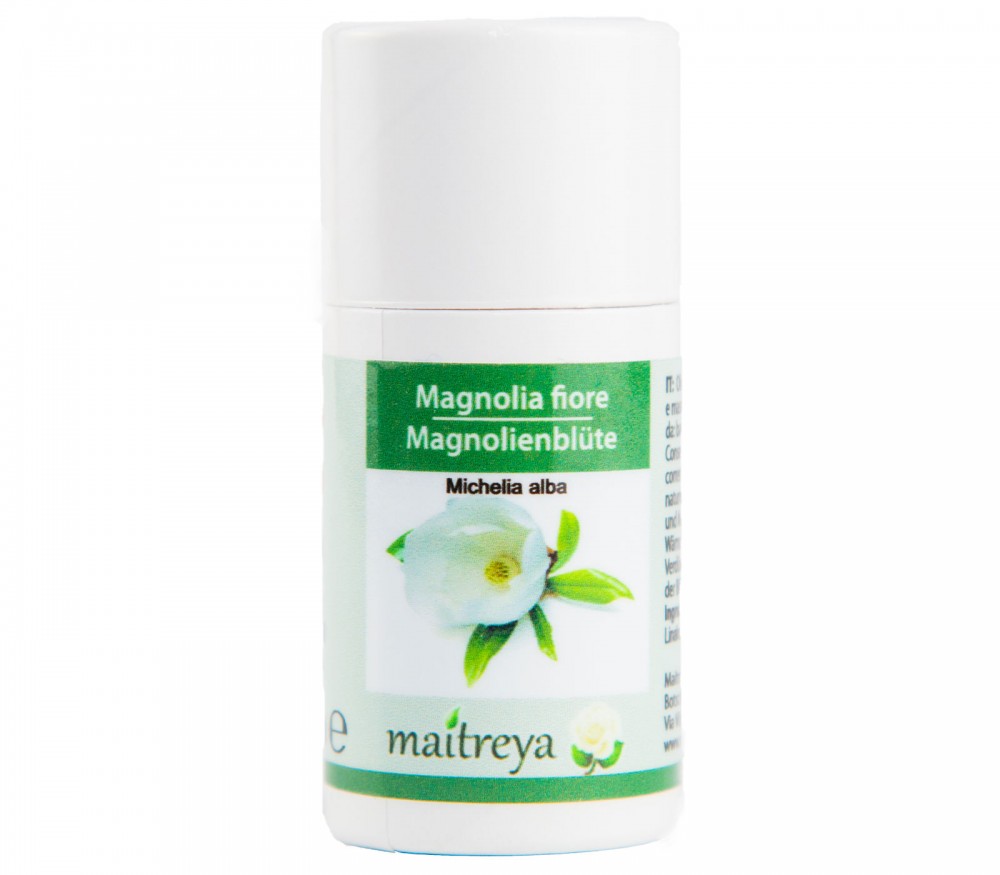 Vendita online: Magnolia fiore Vendita online: Magnolia fiore