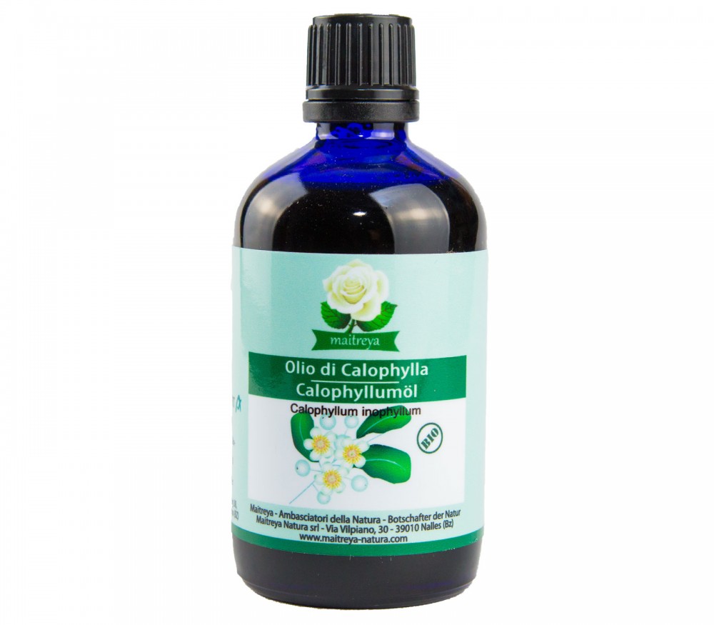 Vendita online: Olio di Calophylla Vendita online: Olio di Calophylla