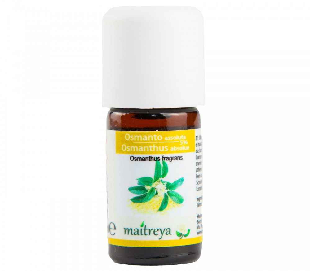 Online kaufen: Osmanthus Absolue 5% Online kaufen: Osmanthus Absolue 5%