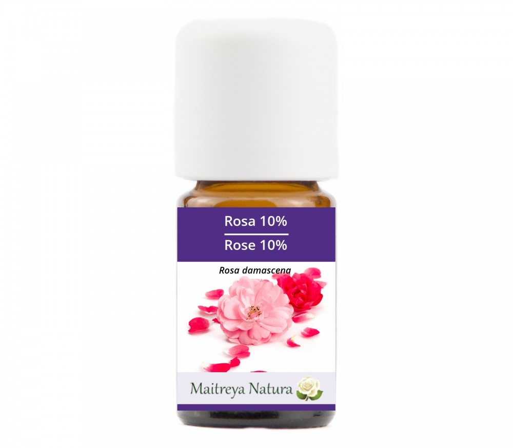 Online kaufen: Rose 10% Online kaufen: Rose 10%