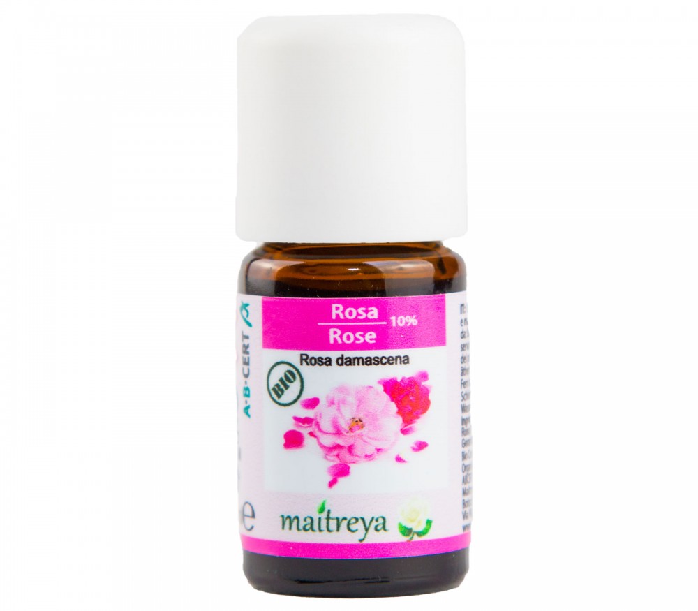 Online kaufen: Rose 10% Online kaufen: Rose 10%