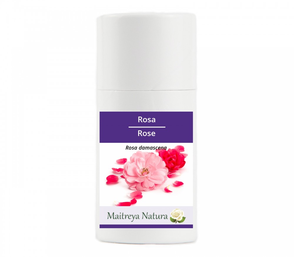 Online kaufen: Rose Online kaufen: Rose