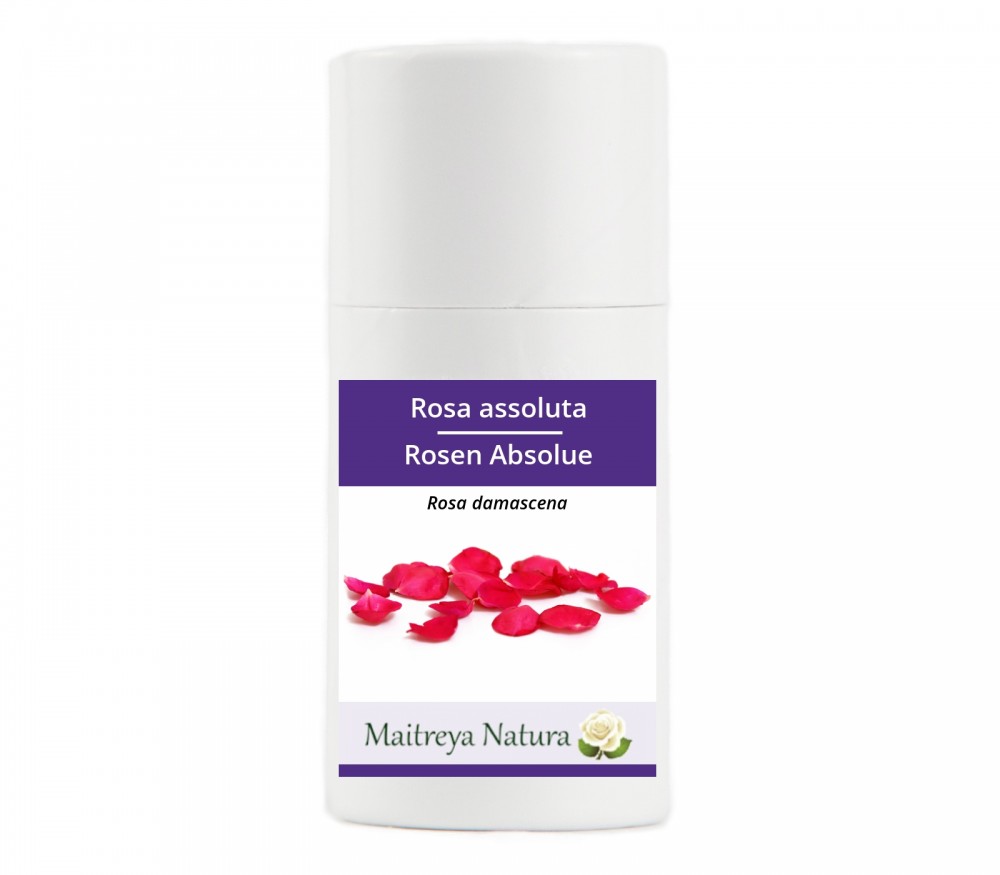 Online kaufen: Rosen Absolue Online kaufen: Rosen Absolue