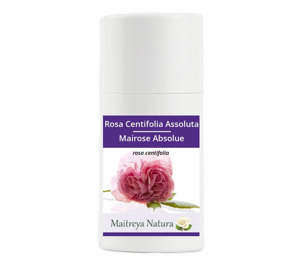 Vendita online: Rosa Centifolia Assoluta