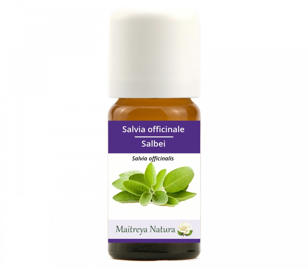 Vendita online: Salvia officinale