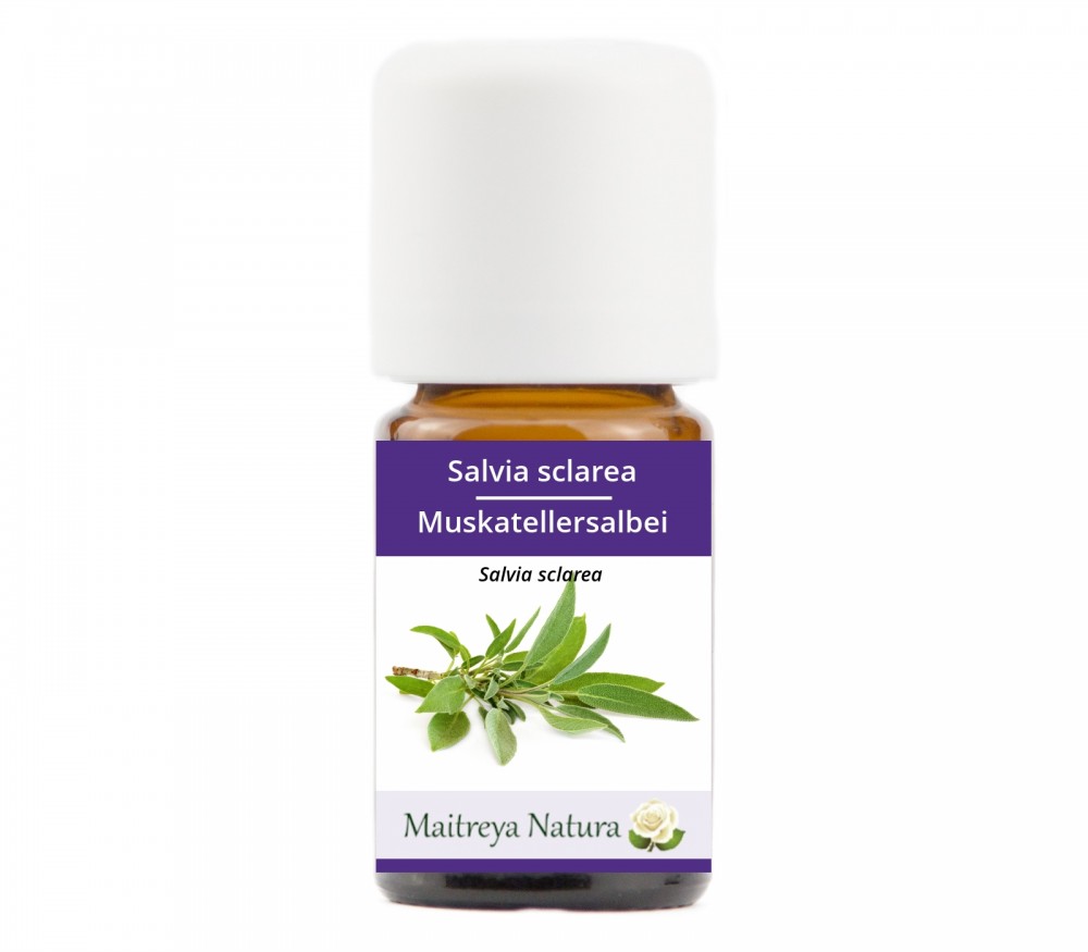 Vendita online: Salvia sclarea