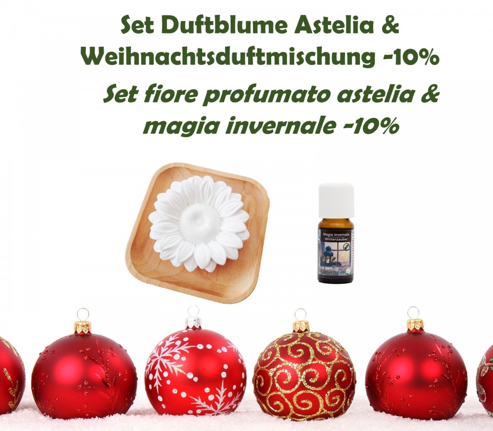 Online kaufen: tür 17 - Set Duftblume Astelia & Mischung Winterzauber