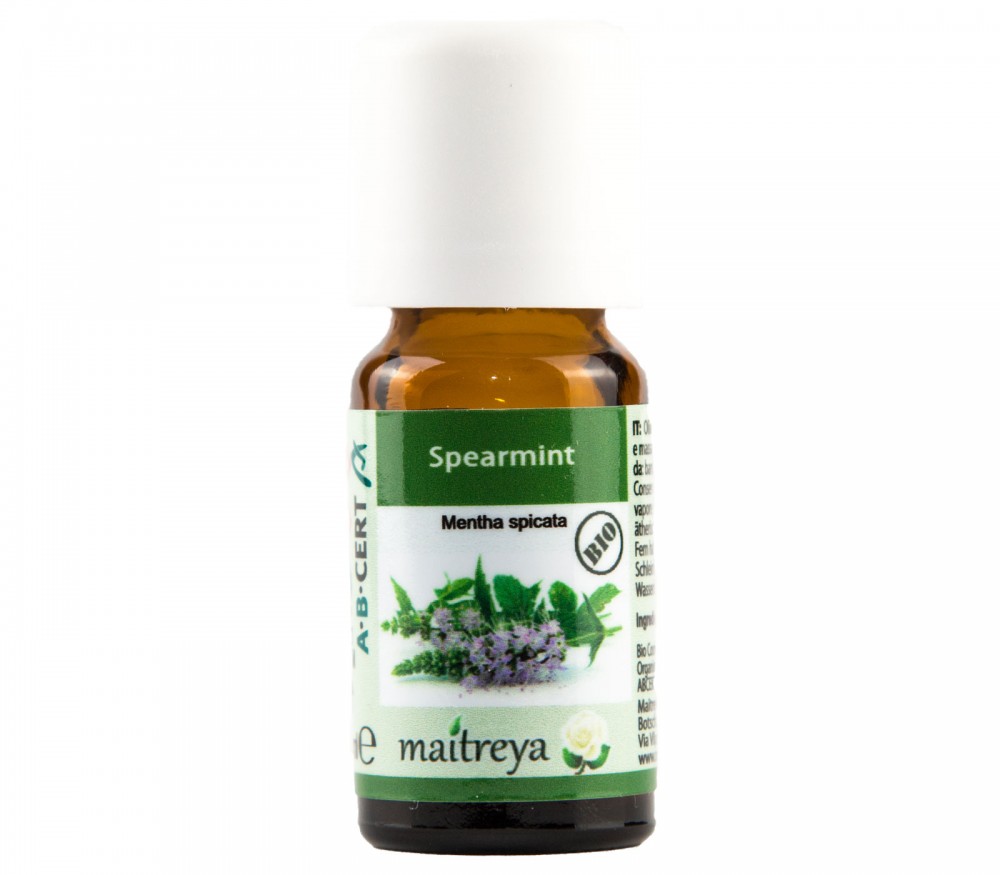 Vendita online: Spearmint Vendita online: Spearmint
