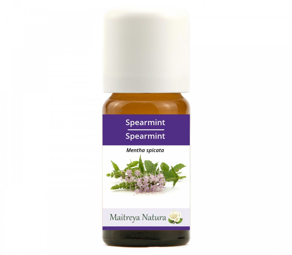 Vendita online: Spearmint