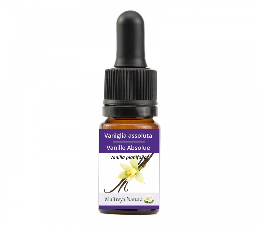 Online kaufen: Vanille Absolue Online kaufen: Vanille Absolue