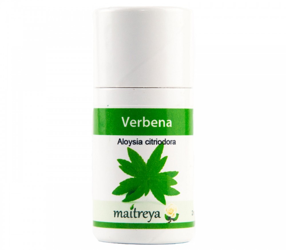 Vendita online: Verbena Vendita online: Verbena