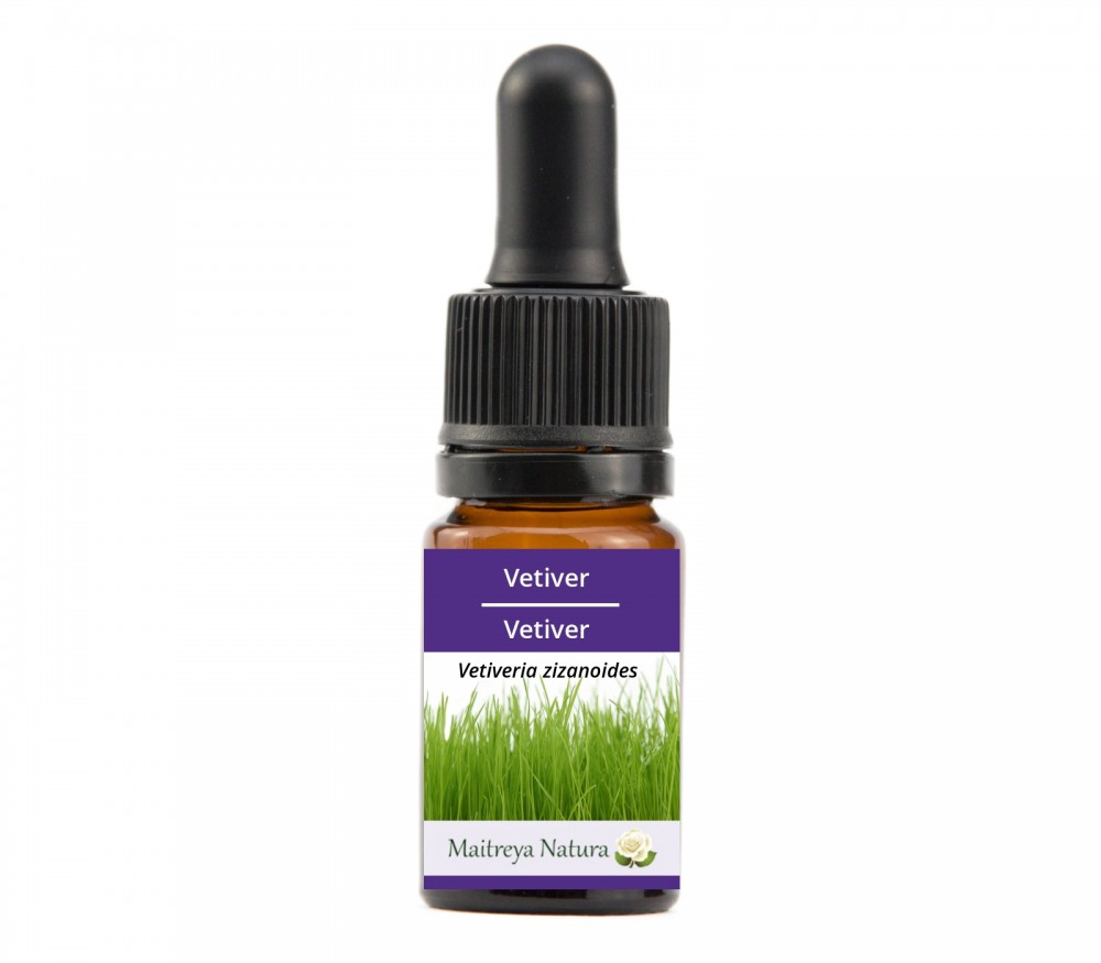 Online kaufen: Vetiver