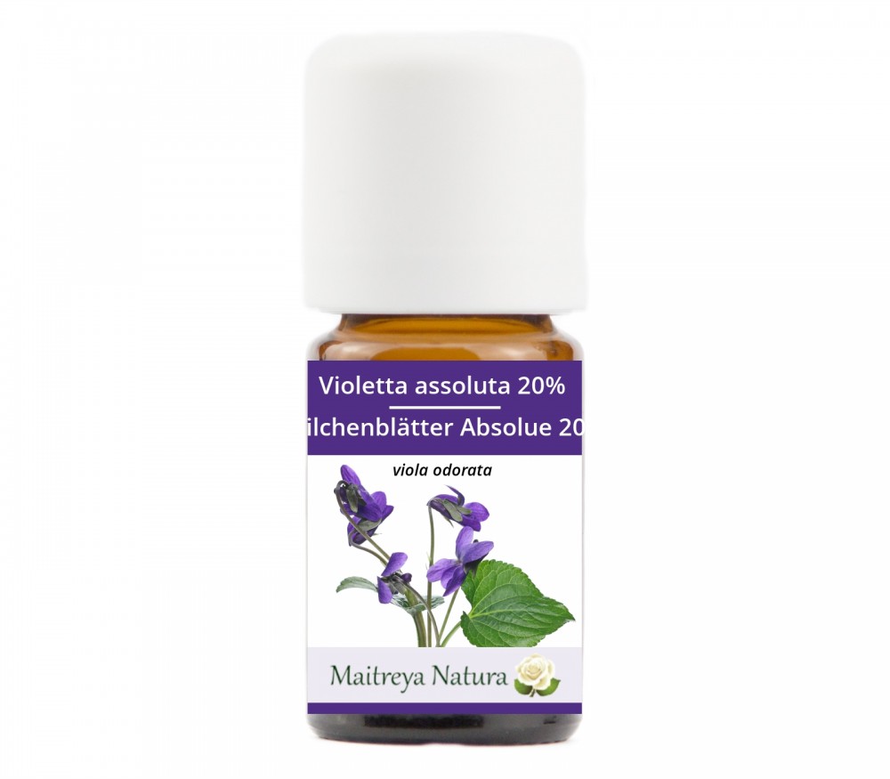 Vendita online: Violetta assoluta 20%