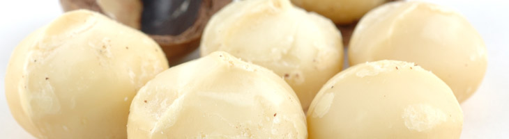 Macadamianussöl – das Öl für Ihre Haut Macadamianussöl