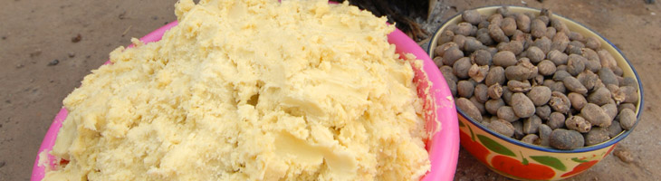 Sheabutter – das pure und unbehandelte „Gold der Frauen“ Sheabutter