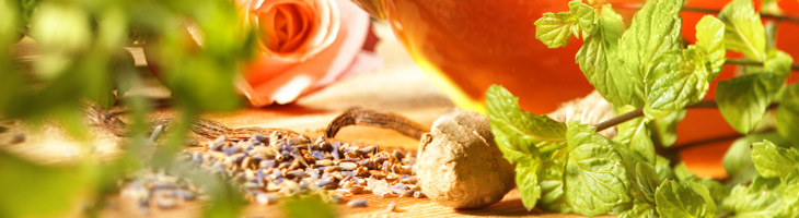 Tutto sugli oli essenziali e sull'aromaterapia Home