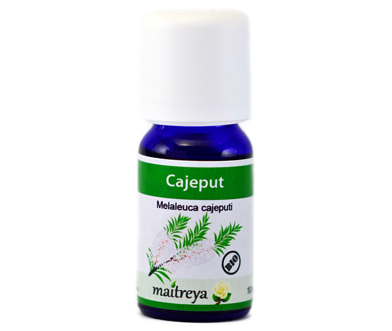 Vendita online: Cajeput Vendita online: Cajeput