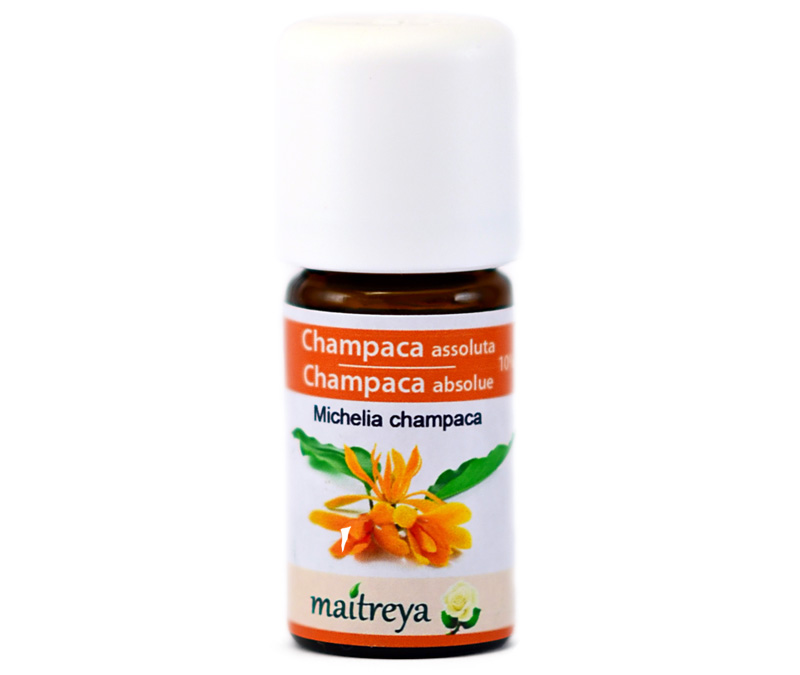 Vendita online: Champaca assoluta 10% Vendita online: Champaca assoluta 10%