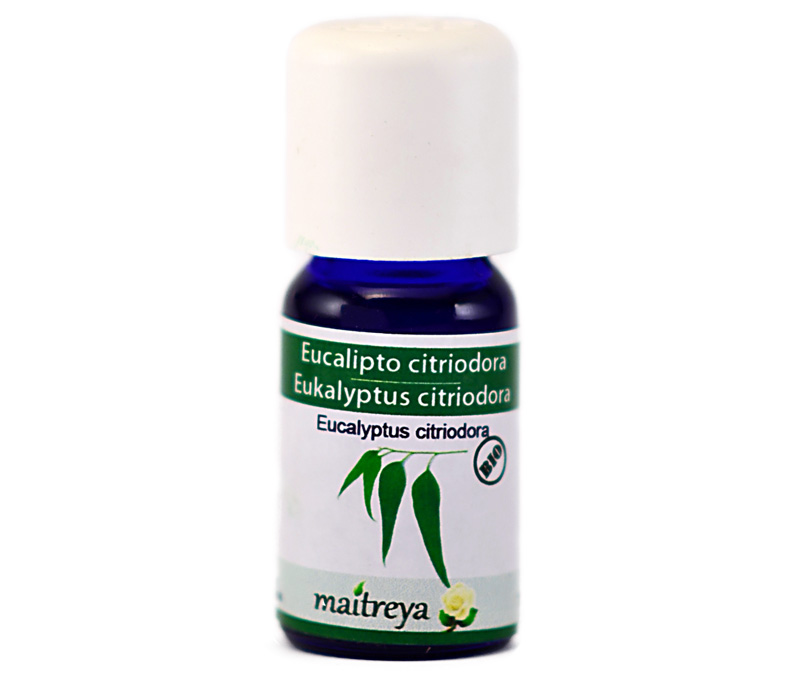 Vendita online: Eucalipto citriodora Vendita online: Eucalipto citriodora