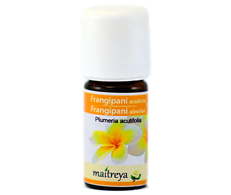 Vendita online: Frangipani Assoluta 10% Vendita online: Frangipani Assoluta 10%
