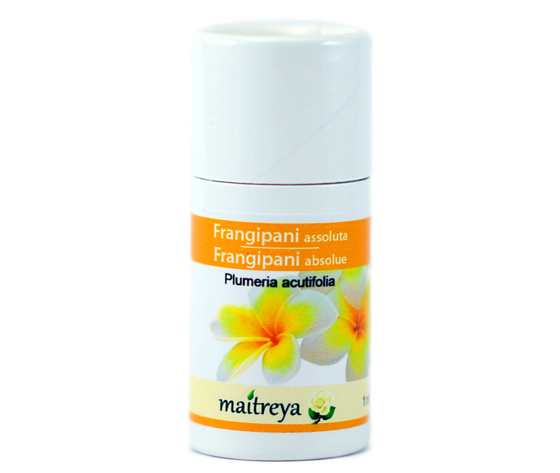 Online kaufen: Frangipani Absolue Online kaufen: Frangipani Absolue