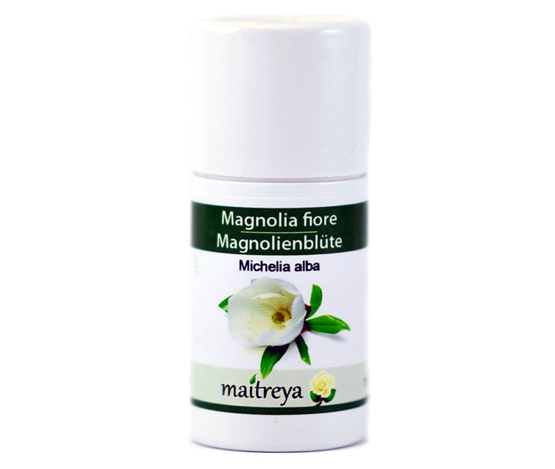 Online kaufen: Magnolienblüte Online kaufen: Magnolienblüte