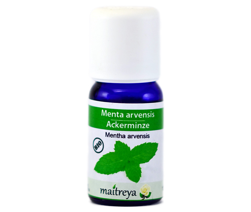 Vendita online: Menta arvensis Vendita online: Menta arvensis