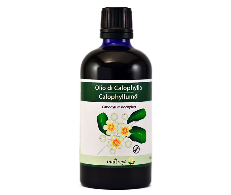 Vendita online: Olio di Calophylla Vendita online: Olio di Calophylla