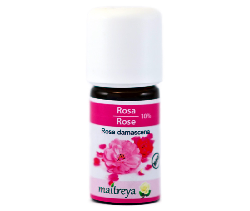 Online kaufen: Rose 10% Online kaufen: Rose 10%