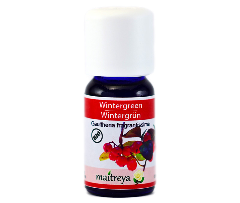 Vendita online: Wintergreen Vendita online: Wintergreen